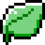 sage