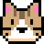 KOHI