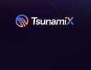 Discovery splash banner for TsunamiX Discord server
