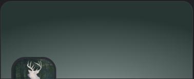 Discovery splash banner for The Wilderness 2.0 Discord server