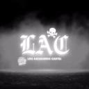 Discovery splash banner for 『LAC』 #SW2 Discord server