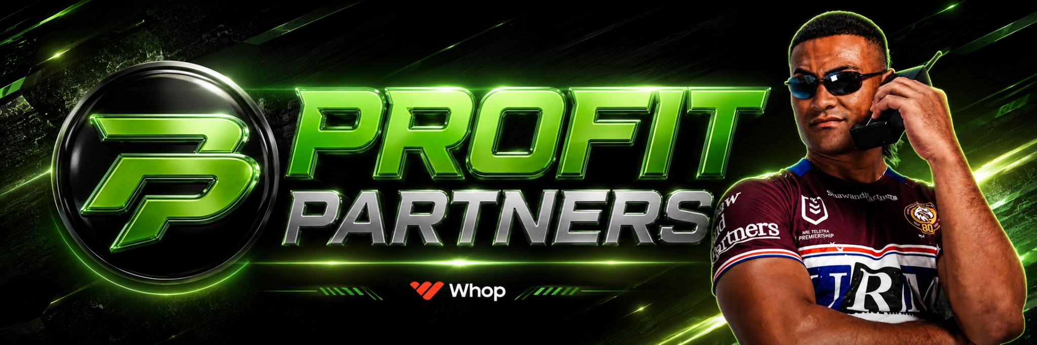 Discovery splash banner for ☰☰☰ PROFIT PARTNERS 💎 Discord server