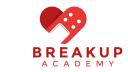Discovery splash banner for Breakup Academy Discord server