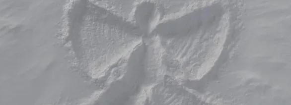 Discovery splash banner for οΈ΅ πͺππΜπππ οΉβ‘ Discord server