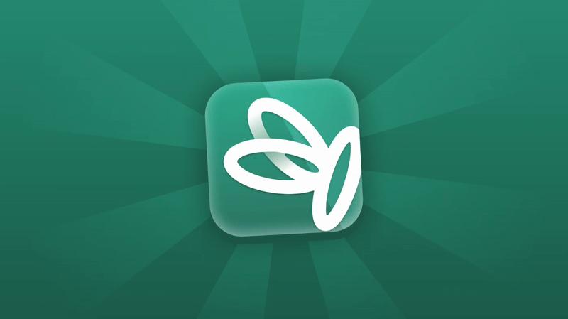 Discovery splash banner for 🦋 Papillon - Votre vie scolaire Discord server