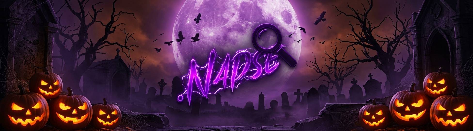 Discovery splash banner for Napse.ac 🔍 Discord server