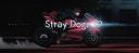 Discovery splash banner for Stray dogz ♡ | Social • VC • Gaming • PFP • Banners • Anime • Emotes • Chill • Semi-Toxic Discord server