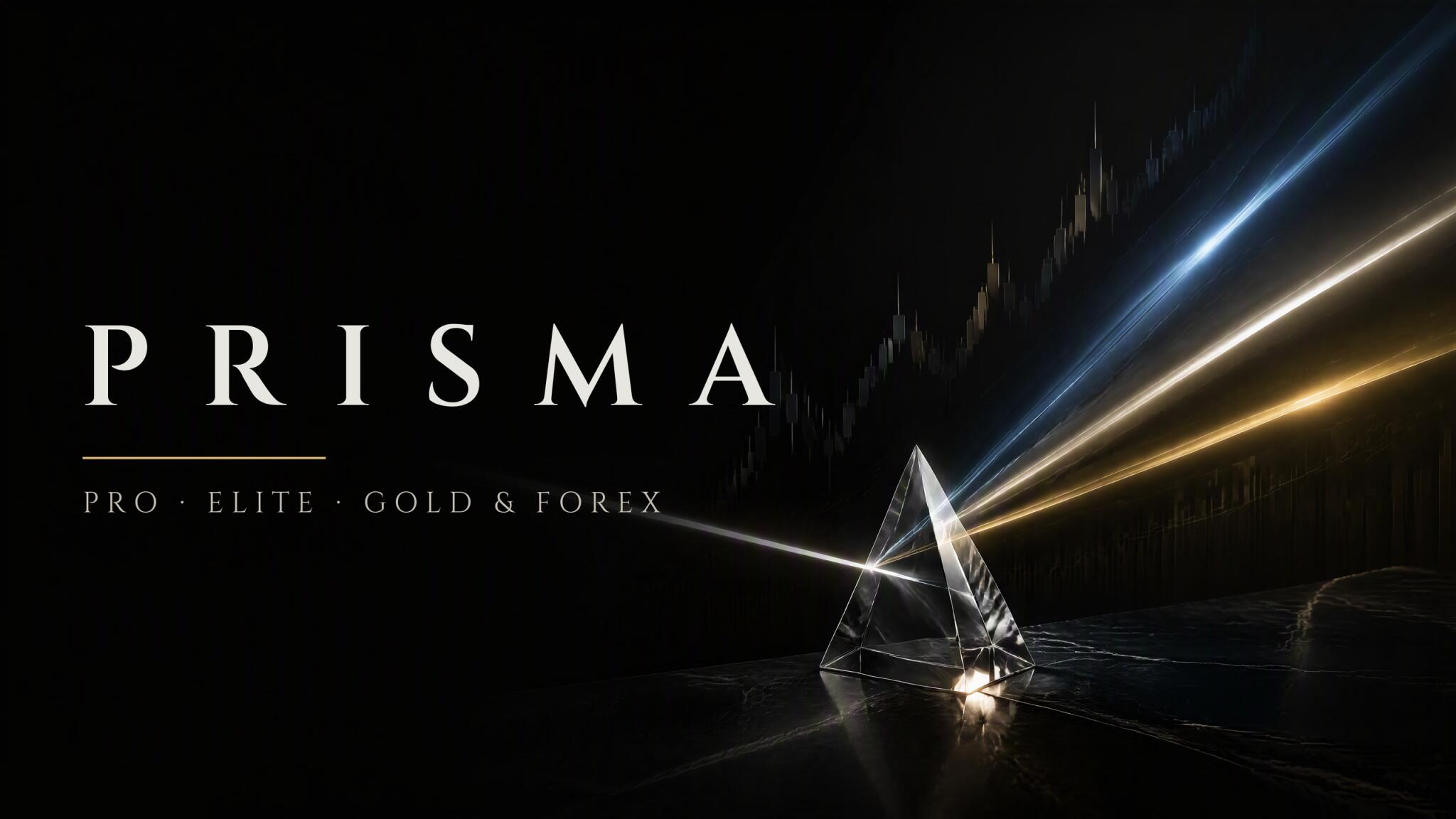 Discovery splash banner for 🏆PRISMA GROUP✨ Discord server