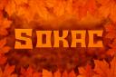 Discovery splash banner for 👑・Sokac Development Discord server