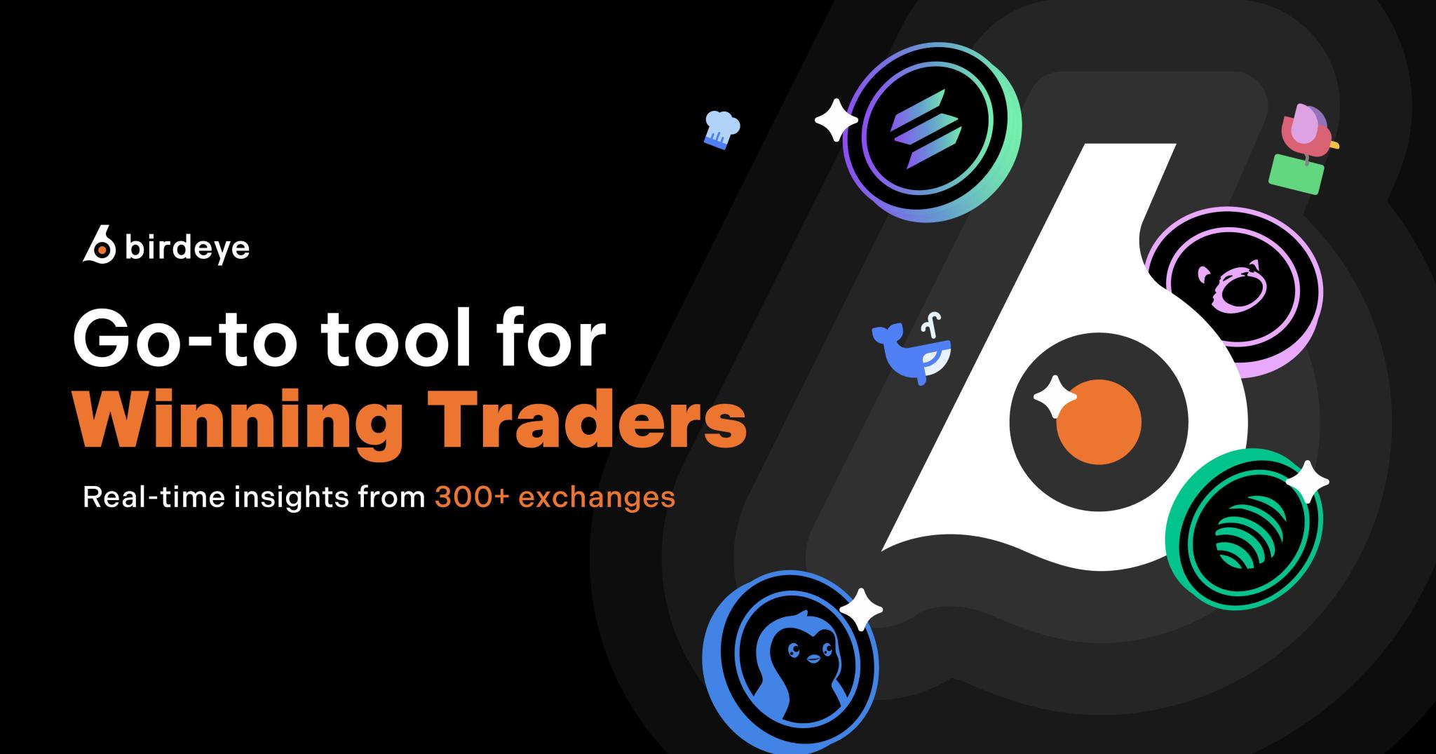 Discovery splash banner for Birdeye Discord server