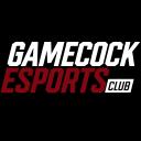 Discovery splash banner for Gamecock Esports Club Discord server