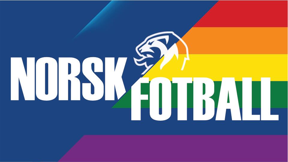 Discovery splash banner for Norsk Fotball Discord server
