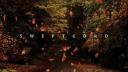 Discovery splash banner for ｓｗｉｆｔｃｏｒｄ Discord server