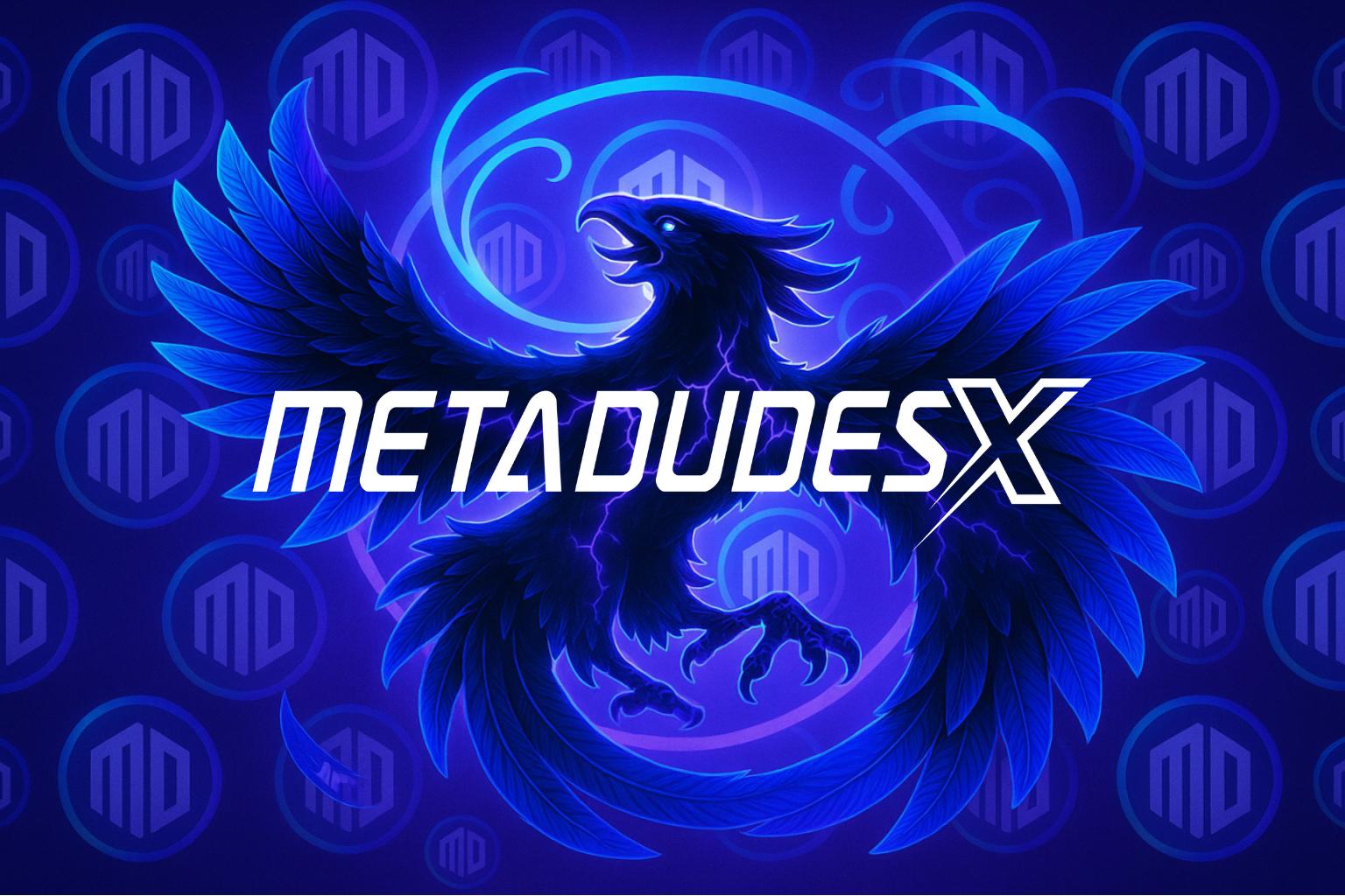 Discovery splash banner for METADUDESX Discord server