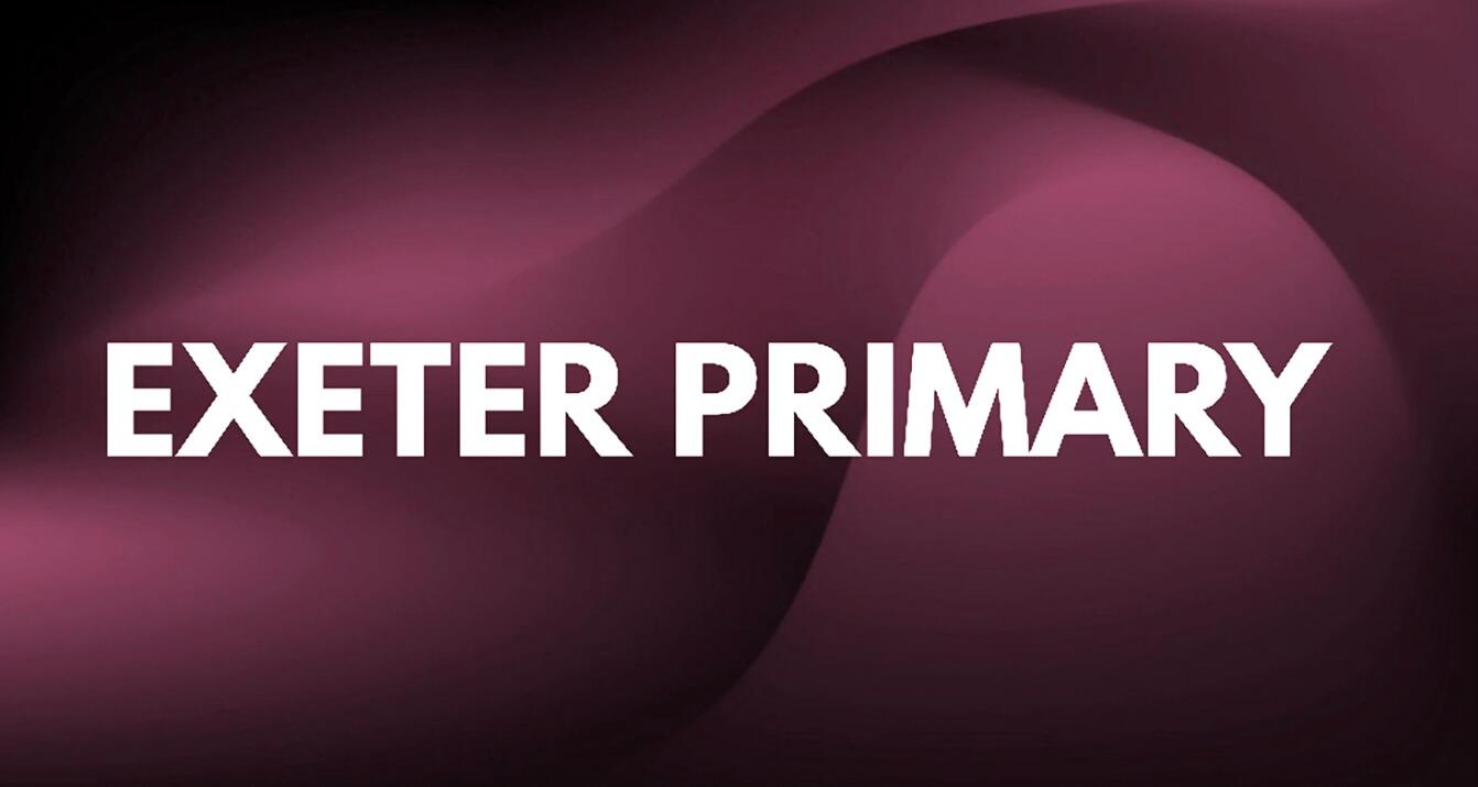 Discovery splash banner for Exeter Primary School | VC Discord server