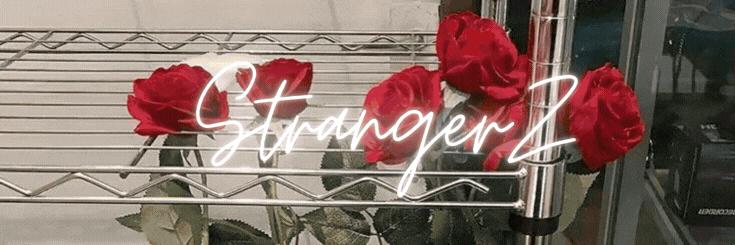 Discovery splash banner for StrangerZ | Chilling • Indian • Social • Active • Gaming • Fun (masti) • Hangouts • Vc Discord server
