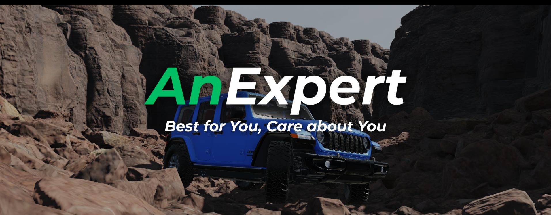 Discovery splash banner for AnExpert Discord server