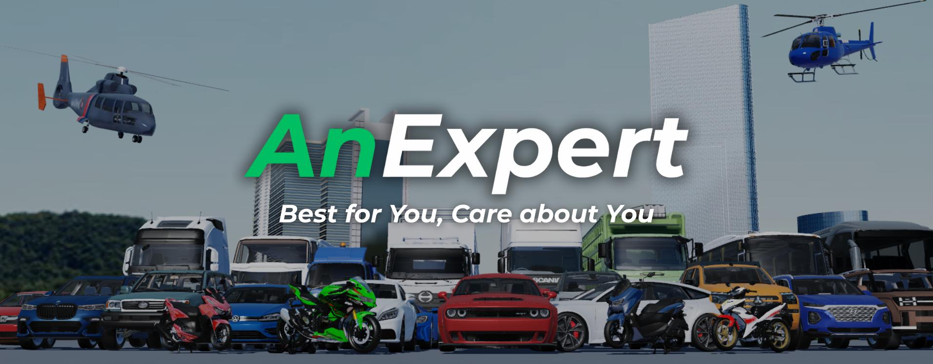 Discovery splash banner for AnExpert🎄 Discord server