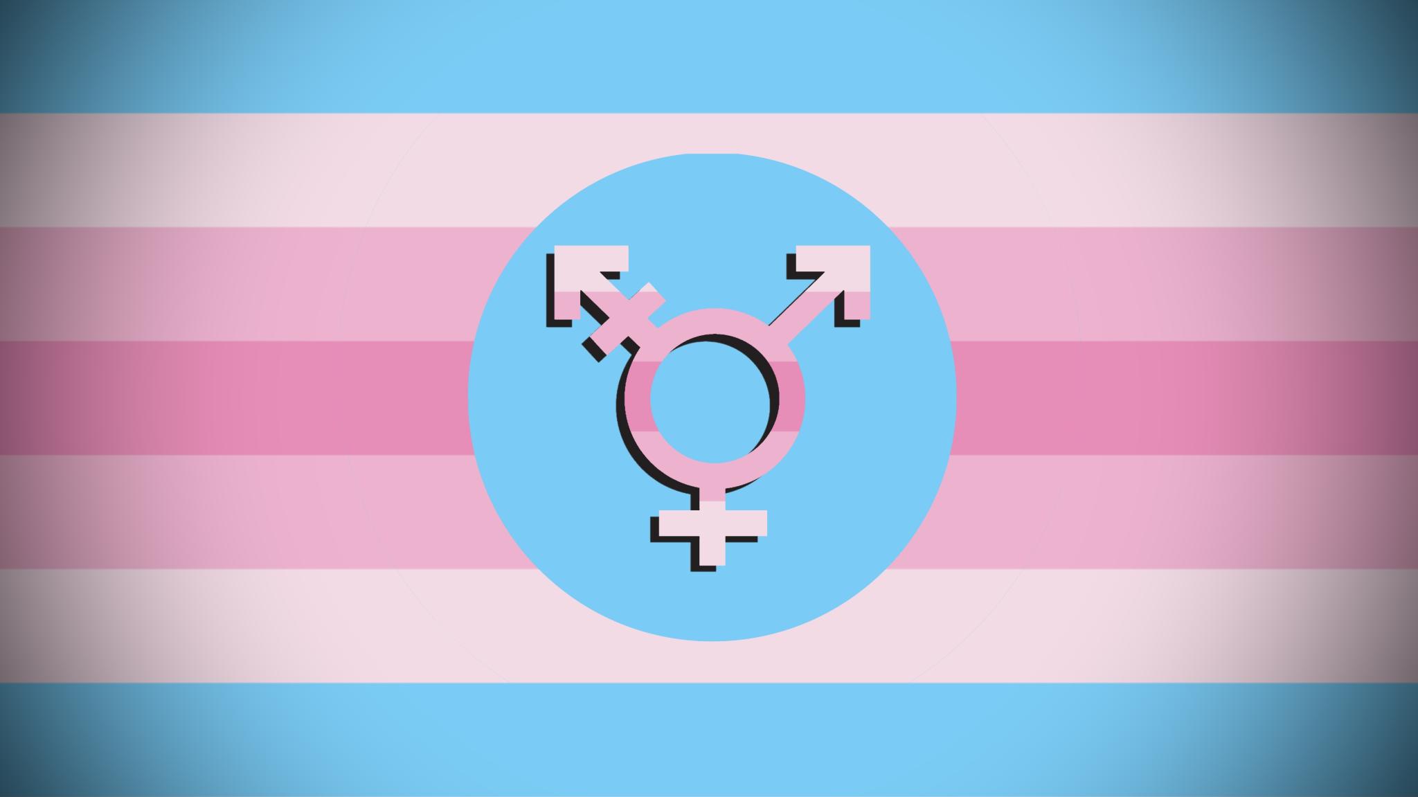 Discovery splash banner for Transfem Hangout Discord server