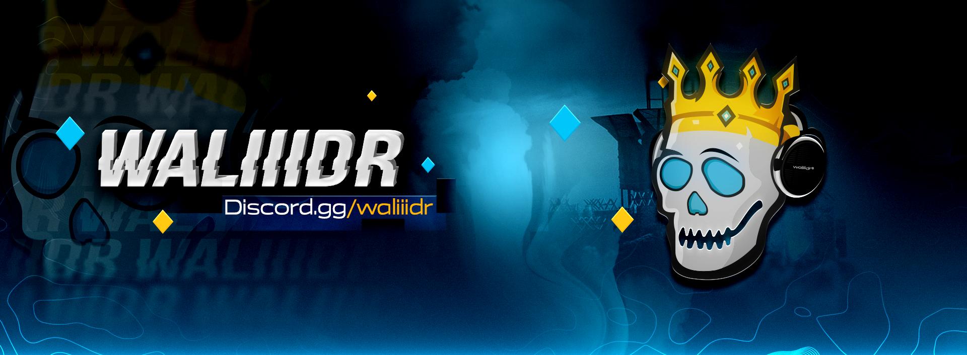 Discovery splash banner for Waliiidr's Discord server