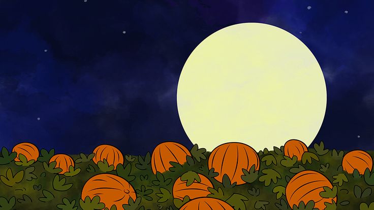 Discovery splash banner for 𝕊𝕡𝕠𝕠𝕜𝕪 ℝ𝕖𝕝𝕒𝕥𝕚𝕠𝕟𝕤 Discord server