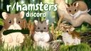 Discovery splash banner for r/hamsters Discord server
