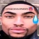 Discovery splash banner for def Coteab_Developments(): Discord server