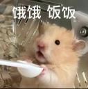 Discovery splash banner for 日本职场人互助团体shawnlist Discord server