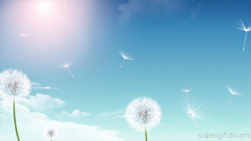 Discovery splash banner for 🏮 ﹕ Yukihime » Anime Manga - 400 Robux Kodu Çekilişi Discord server