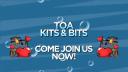 Discovery splash banner for ToA Kits & Bits OSRS Services Discord server