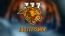 Discovery splash banner for .gg/777shop Discord server