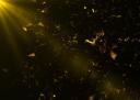 Discovery splash banner for - LPFI - Discord server