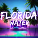 Discovery splash banner for 🌊Florida Water🌊 Discord server