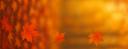 Discovery splash banner for ⌂ ʟᴏꜱ ᴍᴀʀʀᴀɴᴏꜱ ⌂ Discord server
