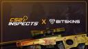 Discovery splash banner for Epidemic's CS2Inspects.com Discord server