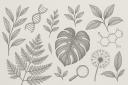 Discovery splash banner for Le Jardin Des Sciences [LJDS] Discord server