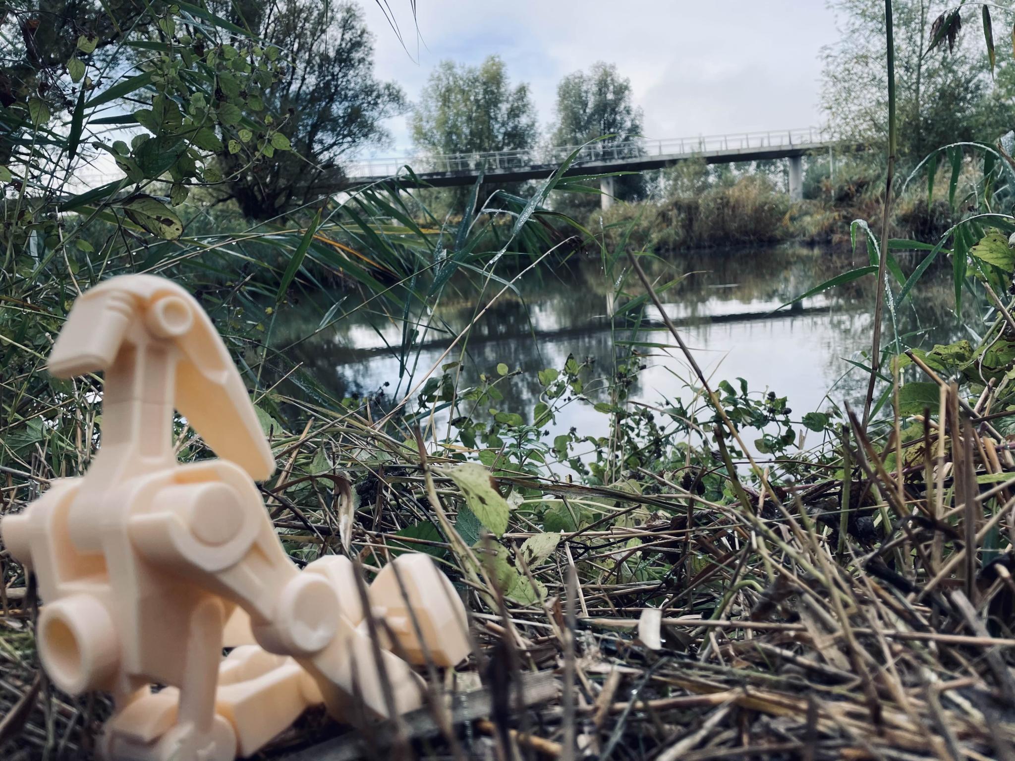 Discovery splash banner for JEDI Bricks Discord server