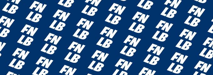 Discovery splash banner for FNLB - Fortnite Bot Lobbies 🤖 Discord server