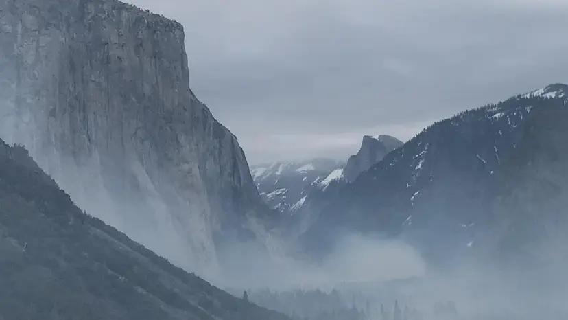 Discovery splash banner for Whaledev | Programming • Coding • Tech • Linux • Javascript • Python Discord server