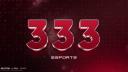 Discovery splash banner for 333 E-SPORTS Discord server