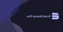 Discovery splash banner for Ecole Directe Plus Discord server