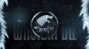 Discovery splash banner for 𝑾𝒊𝒏𝒕𝒆𝒓𝒇𝒆𝒍𝒍 Discord server