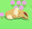Discovery splash banner for Pokémon Eevee Sleep / ポケスリ Discord server