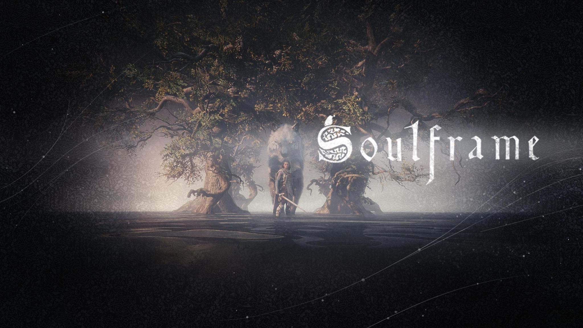 Discovery splash banner for Soulframe FR Discord server