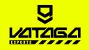 Discovery splash banner for VATAGA ESPORTS Discord server