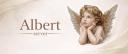 Discovery splash banner for Albert Discord server