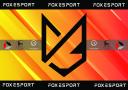 Discovery splash banner for A.S.D. FOX ESPORT Discord server