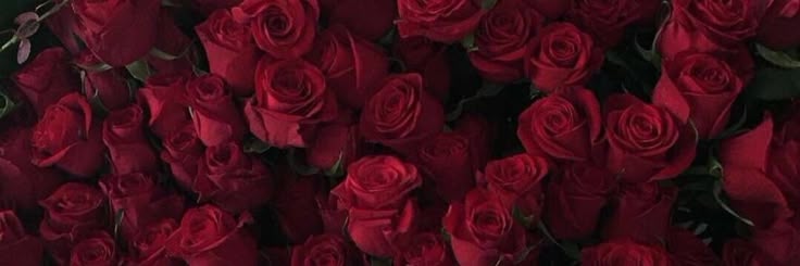 Discovery splash banner for Epiphany! 🎂🎉 Discord server