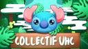 Discovery splash banner for Collectif UHC | Public Discord server