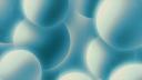 Discovery splash banner for Paradise Community Discord server